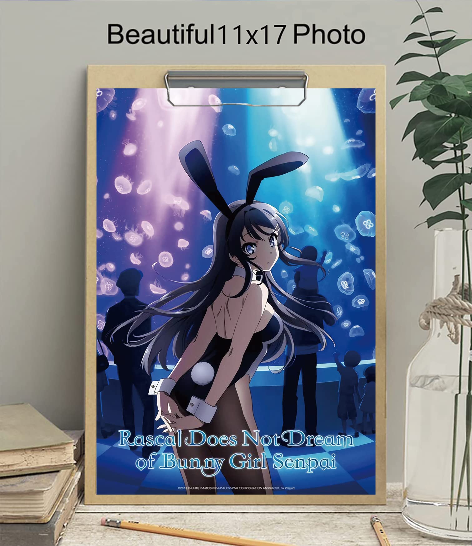 Christ-EZ Anime Cartoons Rascal Does Not Dream of Bunny Girl
